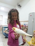 Pitoco, o animalzinho de Luiza