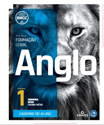 Apostilas 1º Ano do Ensino Médio (Learning Book)