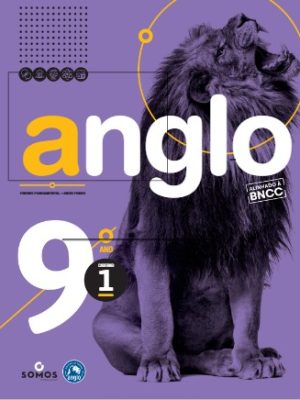 Apostilas 9º Ano do Ensino Fundamental (Learning Book)