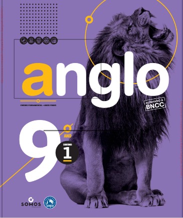 Apostilas 9º Ano do Ensino Fundamental (Learning Book)